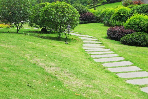 广州电动园林工具：夏季园林虫害防治注意事项
